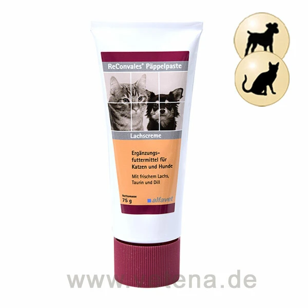 ReConvales Päppelpaste Hund & Katze 3 ReConvales Päppelpaste Hund & Katze