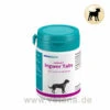 Astoral Ingwer Tabs -Tier Futter Profi Geschaft almapharm astoral ingwer tabs hund