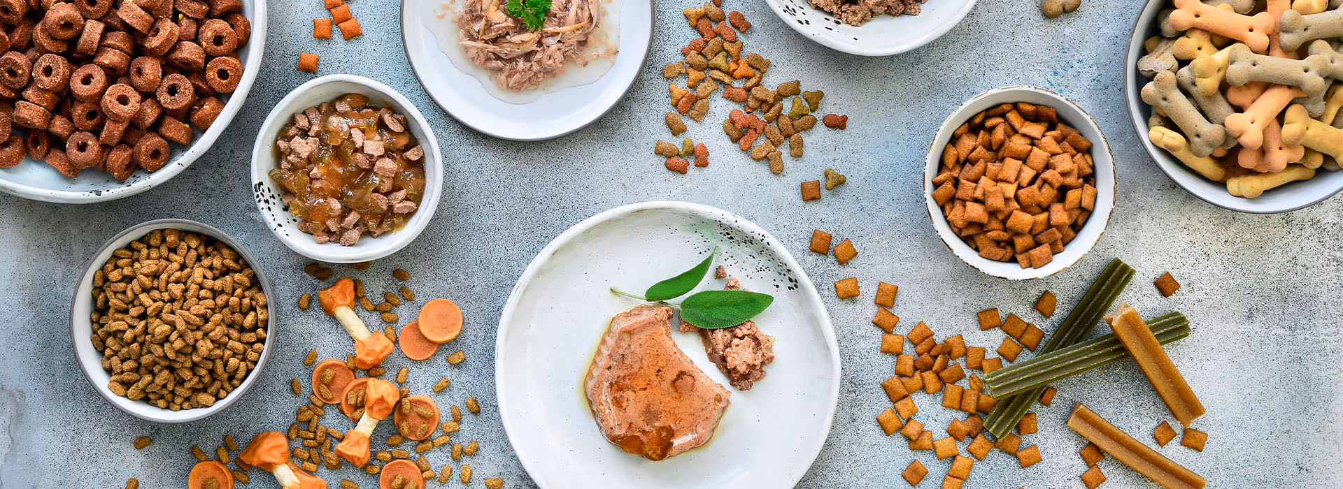 Tier Futter Profi Geschaft -Tier Futter Profi Geschaft bhh