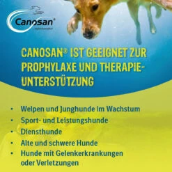 Boehringer Ingelheim Canosan Für Hunde -Tier Futter Profi Geschaft canosan hund boehringer ingelheim3