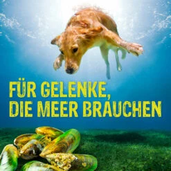 Boehringer Ingelheim Canosan Für Hunde -Tier Futter Profi Geschaft canosan hund boehringer ingelheim6