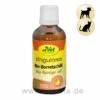CdVet Singulares Bio-Borretschöl -Tier Futter Profi Geschaft cdvet singulares bio borretschoel tiere