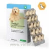 VivoSyn Für Hunde 2 VivoSyn Für Hunde -Tier Futter Profi Geschaft cp pharma vivosyn fuer hunde