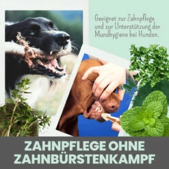 Noms+ Dentalmix Für Hunde -Tier Futter Profi Geschaft nomsplus dentalmix hunde4
