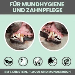 Noms+ Dentalmix Für Hunde -Tier Futter Profi Geschaft nomsplus dentalmix hunde5