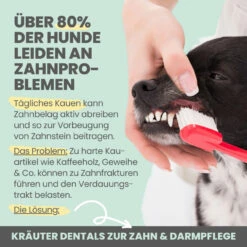 Noms+ Kräuter Dentals Für Hunde -Tier Futter Profi Geschaft nomsplus kraeuter dentals hunde4