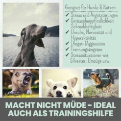 Noms+ Wohlfühltabs Für Hunde & Katzen -Tier Futter Profi Geschaft nomsplus wohlfuehltabs hund katze6