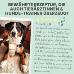 Noms+ Wohlfühltabs Für Hunde & Katzen -Tier Futter Profi Geschaft nomsplus wohlfuehltabs hund katze7