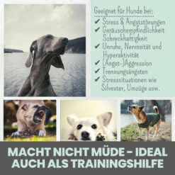 Noms+ Wohlfühlsnacks Für Hunde -Tier Futter Profi Geschaft nomsplus wohlfuehltabs hund katze 15
