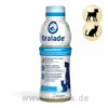 Oralade Advanced GI+ Für Hunde & Katzen -Tier Futter Profi Geschaft oralade gi support