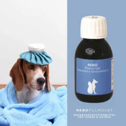 REBOPulmoVet Für Hunde & Katzen 9 REBOPulmoVet Für Hunde & Katzen -Tier Futter Profi Geschaft rebopulmovet hund katze4