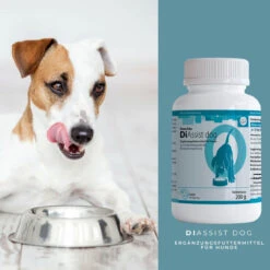 ReboTabs DiAssist Dog Für Hunde -Tier Futter Profi Geschaft rebotabs diassist dog4