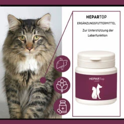 ReboTabs HEPARTop Für Hunde 11 ReboTabs HEPARTop Für Hunde -Tier Futter Profi Geschaft rebotabs hepartop4