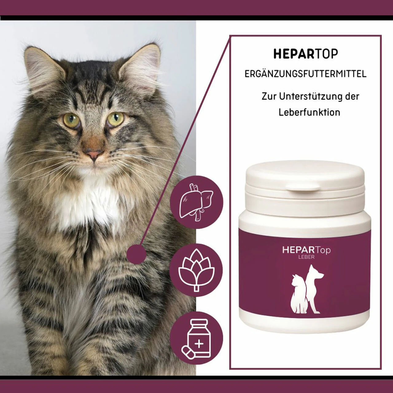 ReboTabs HEPARTop Für Hunde 6 ReboTabs HEPARTop Für Hunde – Bild 4