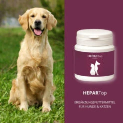 ReboTabs HEPARTop Für Hunde 12 ReboTabs HEPARTop Für Hunde -Tier Futter Profi Geschaft rebotabs hepartop5