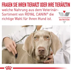 Royal Canin Anallergenic Small Dogs Trockenfutter Für Hunde -Tier Futter Profi Geschaft royal canin anallergenic small dogs trockenfutter hund7