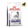 Royal Canin Expert Dental Medium & Large Dogs Trockenfutter Für Hunde 2 Royal Canin Expert Dental Medium & Large Dogs Trockenfutter Für Hunde -Tier Futter Profi Geschaft royal canin dental medim large dogs