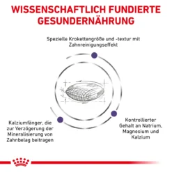 Royal Canin Expert Dental Small Dogs Trockenfutter Für Hunde -Tier Futter Profi Geschaft royal canin dental small dogs4