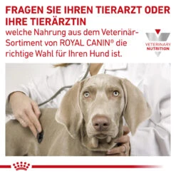 Royal Canin Gastrointestinal High Fibre Trockenfutter Für Hunde -Tier Futter Profi Geschaft royal canin gastro intestinal high fibre hund9