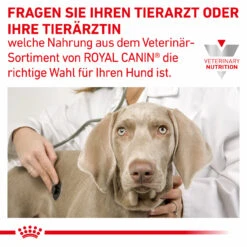 Royal Canin Gastrointestinal Moderate Calorie Trockenfutter Für Hunde -Tier Futter Profi Geschaft royal canin gastro intestinal moderate calorie hund8