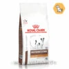 Royal Canin Gastrointestinal Low Fat Small Dogs Trockenfutter Für Hunde 1 Royal Canin Gastrointestinal Low Fat Small Dogs Trockenfutter Für Hunde -Tier Futter Profi Geschaft royal canin gastrointestinal low fat small dogs trockenfutter hund