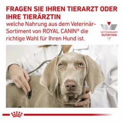Royal Canin Gastrointestinal Low Fat Small Dogs Trockenfutter Für Hunde -Tier Futter Profi Geschaft royal canin gastrointestinal low fat small dogs trockenfutter hund9