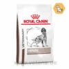 Royal Canin Hepatic Trockenfutter Für Hunde -Tier Futter Profi Geschaft royal canin hepatic trocken hund