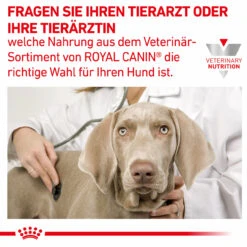 Royal Canin Hepatic Trockenfutter Für Hunde -Tier Futter Profi Geschaft royal canin hepatic trocken hund8
