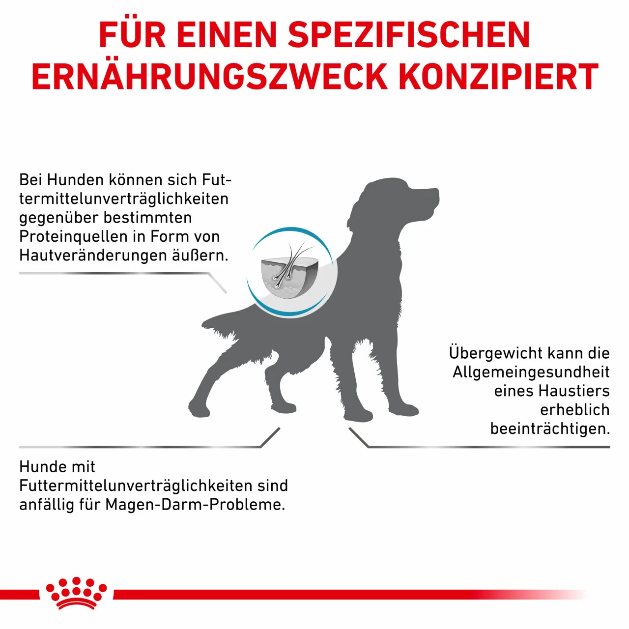 Royal Canin Hypoallergenic Moderate Calorie Trockenfutter Für Hunde 9 Royal Canin Hypoallergenic Moderate Calorie Trockenfutter Für Hunde – Bild 7