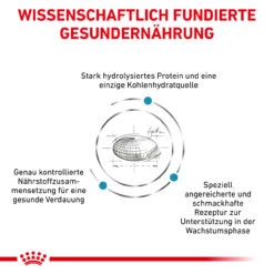 Royal Canin Hypoallergenic Puppy Trockenfutter Für Hunde -Tier Futter Profi Geschaft royal canin hypoallergenic puppy trockenfutter hund3