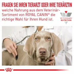 Royal Canin Hypoallergenic Small Dogs Trockenfutter Für Hunde -Tier Futter Profi Geschaft royal canin hypoallergenic small dogs hund3