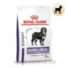 Royal Canin Expert Mature Consult Large Dogs Trockenfutter Für Hunde -Tier Futter Profi Geschaft royal canin mature consult large dogs hund