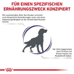 Royal Canin Expert Mature Consult Medium Dogs Trockenfutter Für Hunde -Tier Futter Profi Geschaft royal canin mature consult medium dogs hund3