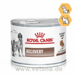 Royal Canin Recovery Nassfutter Für Hunde & Katzen