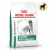 Royal Canin Satiety Weight Management Trockenfutter Für Hunde -Tier Futter Profi Geschaft royal canin satiety weight management trocken hund