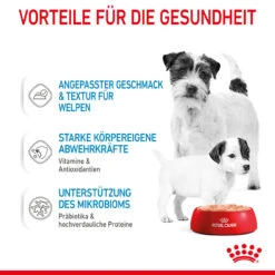 Royal Canin Starter Mousse Mother & Babydog Nassfutter Für Hunde -Tier Futter Profi Geschaft royal canin starter mousse mother babydog hund5