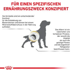 Royal Canin Urinary S/O Ageing 7+ Trockenfutter Für Hunde -Tier Futter Profi Geschaft royal canin urinary s o ageing 7 trocken hund5