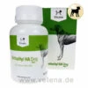 Vicano OrthoHyl HA Dog Tabs -Tier Futter Profi Geschaft vicano orthohyl ha dog tabs